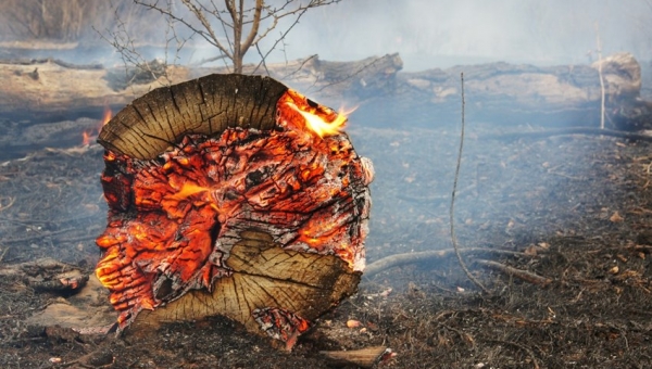 Experta advierte sobre las consecuencias del cambio climático para La Araucanía